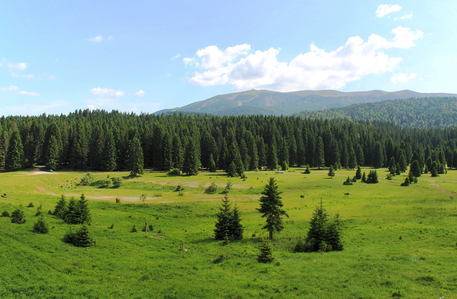 igman veliko polje