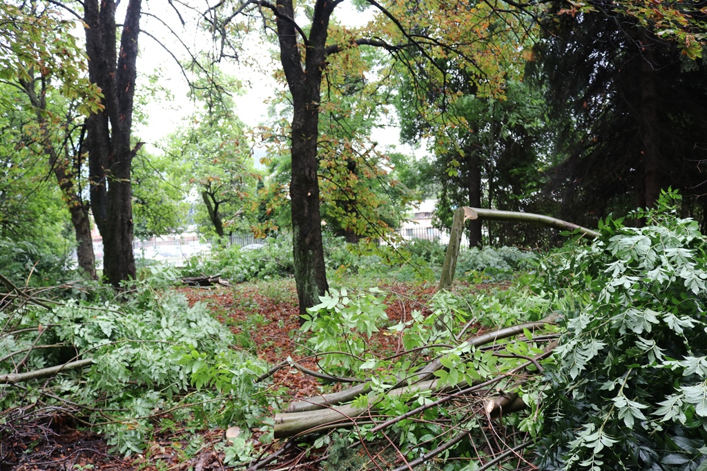 kampus sarajevo park priroda foto vlada ks