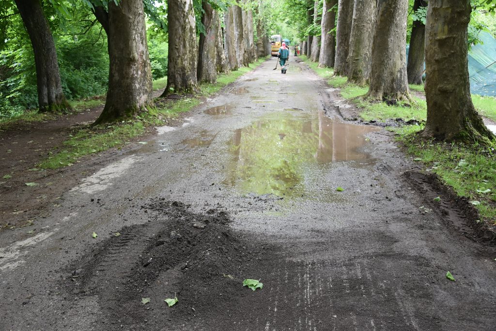 velika aleja ilidza maj 31 19 foto vladaKS